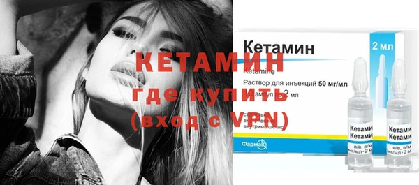 индика Бронницы