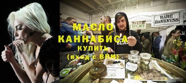 индика Бронницы