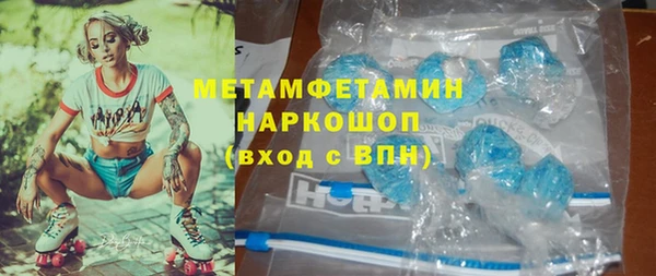 индика Бронницы