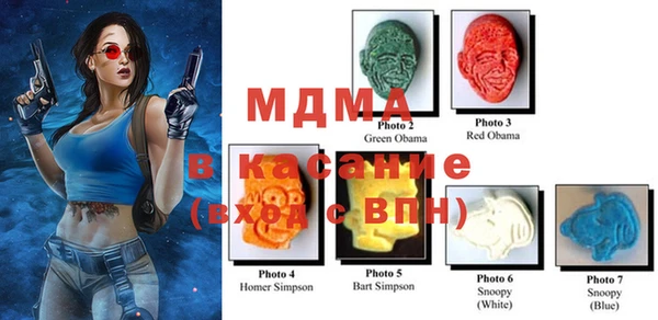 индика Бронницы
