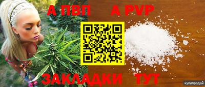 ешки Новозыбков