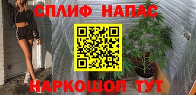 прущие грибы Новокубанск