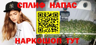 прущие грибы Новокубанск