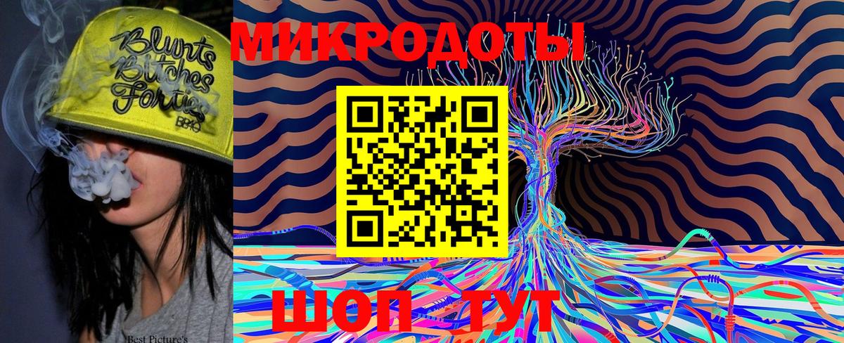 Галлюциногенные грибы Psilocybe Выборг
