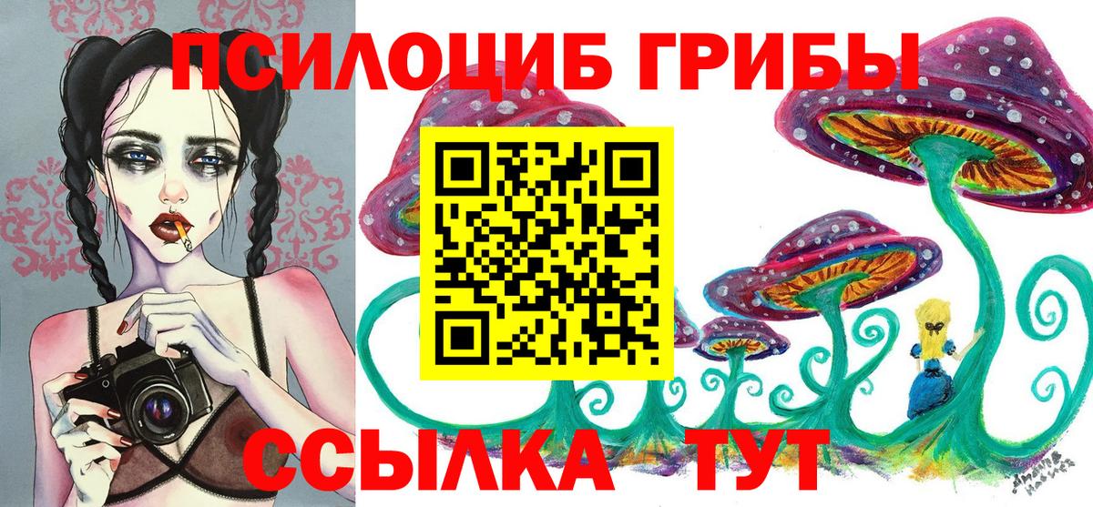 Выборг  Галлюциногенные грибы мицелий  Вход с VPN 